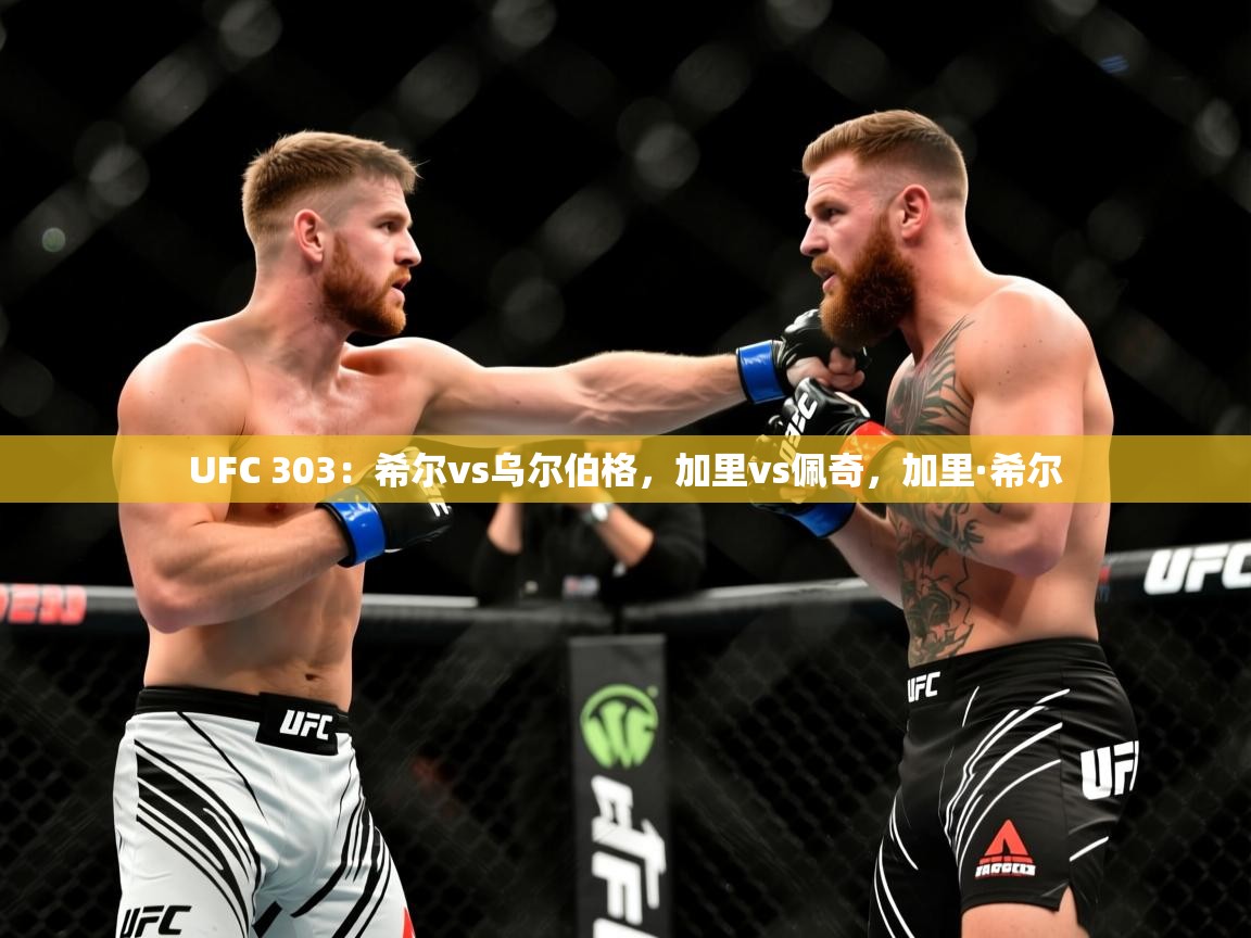 2025米兰体育官网网页版UFC 303:希尔vs乌尔伯格,加里vs佩奇,加里·希尔 第3张