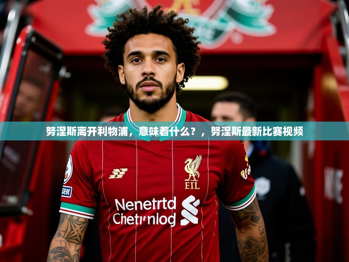 2025米兰体育app官方下载努涅斯离开利物浦，意味着什么？，努涅斯最新比赛视频  第3张