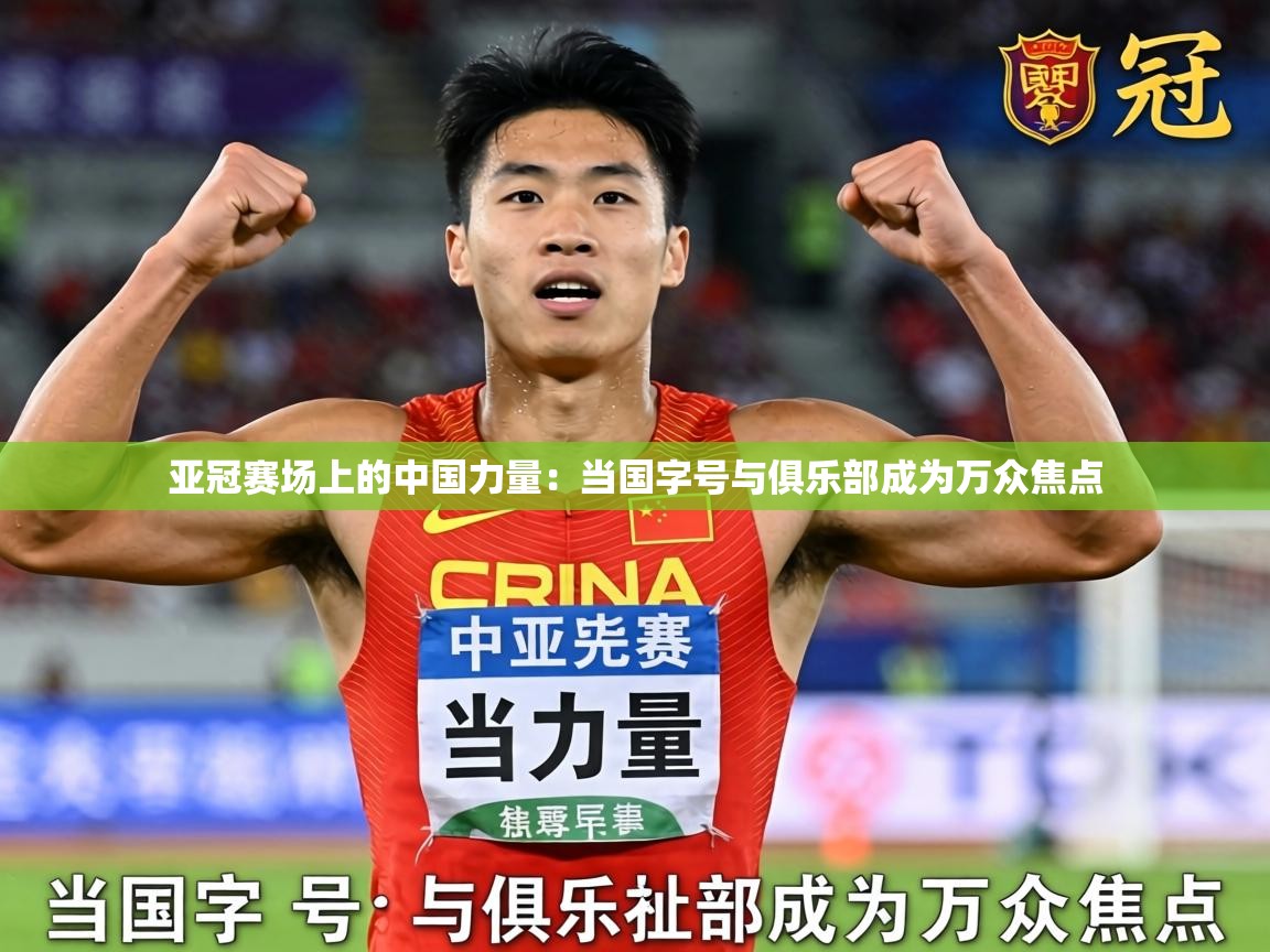 2026米兰体育官方客户端下载亚冠赛场上的中国力量：当国字号与俱乐部成为万众焦点  第4张