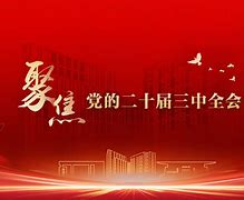 意甲主席明确联赛改革方向，引发关注舆论的简单介绍